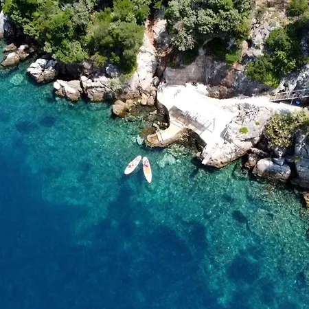 Petrosa *